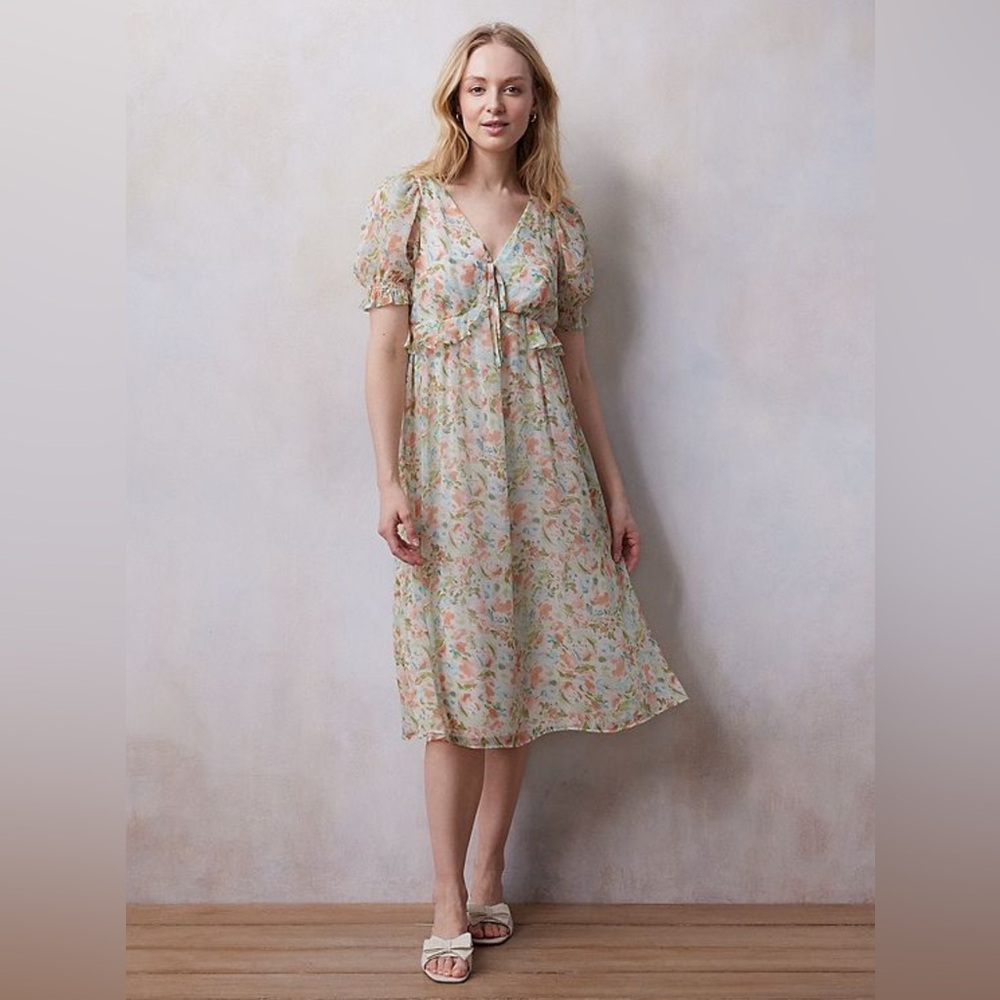 NWT LC Lauren Conrad Floral Print Pleated Empire Waist Chiffon V-Neck Midi Dress
